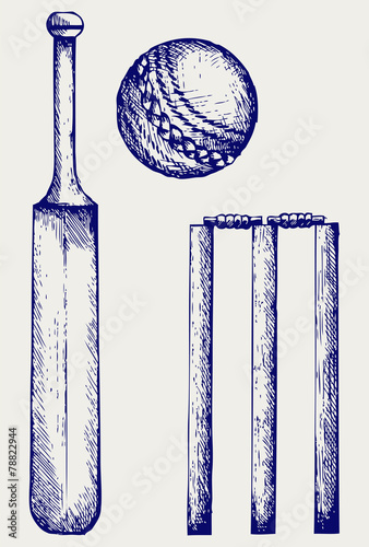 Set equipment for cricket. Cricket bat and ball