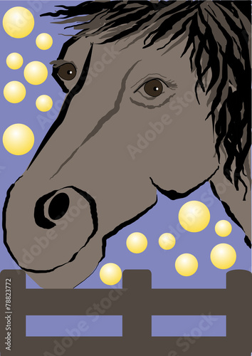 horse
