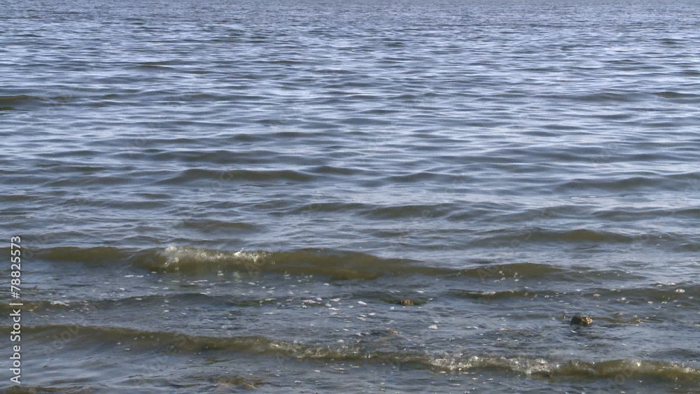 The Salton Sea California - May 2012