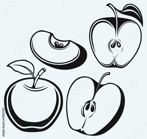 Fresh apple with leaf and slice