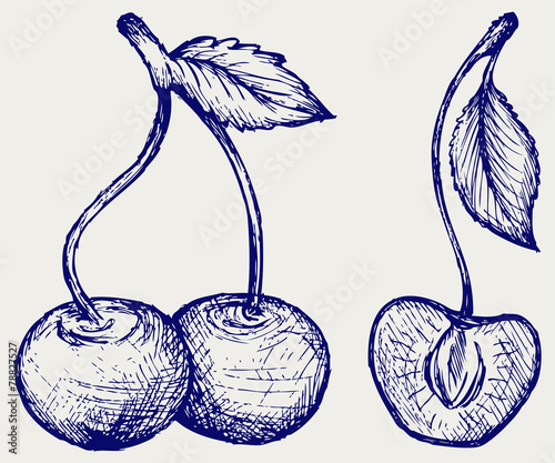 Ripe cherries with leaf. Doodle style