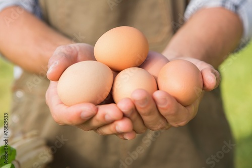 Farmer showing his organic eggs photo