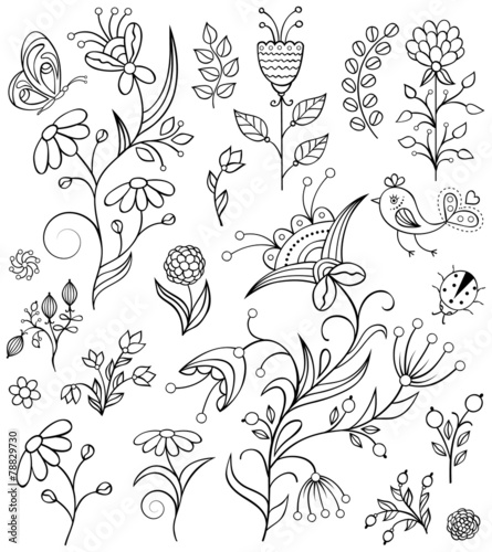 Fototapeta Naklejka Na Ścianę i Meble -  hand drawn flowers on white background