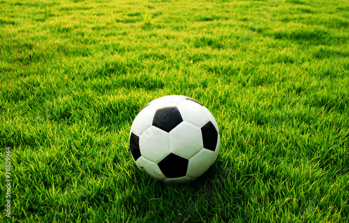football green grass