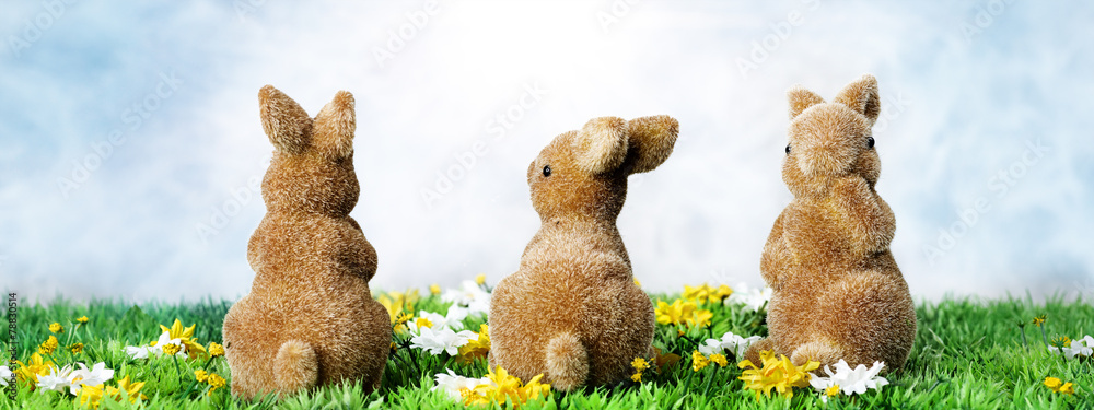 Easter bunny and Easter eggs - obrazy, fototapety, plakaty 