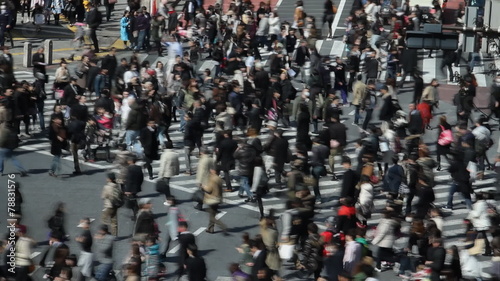 Wallpaper Mural Shibuya crossing Torontodigital.ca