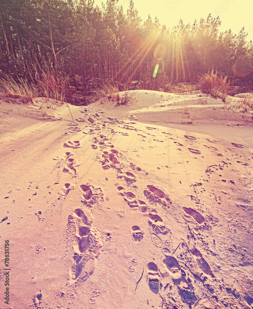 Fototapeta Ślady na piasku, retro stylizowany charakter tła.
