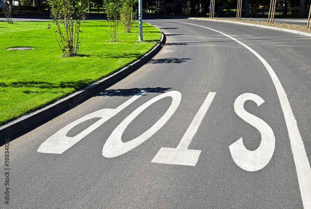 Obraz premium Stop sign on the road surface