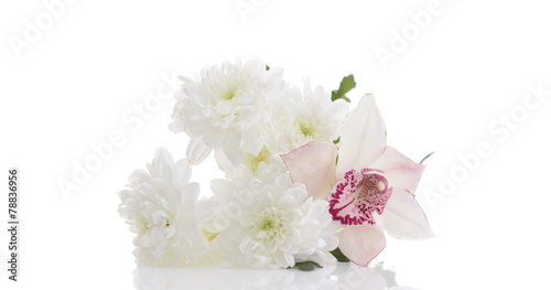 Bouquet of Chrysanthemums Isolated