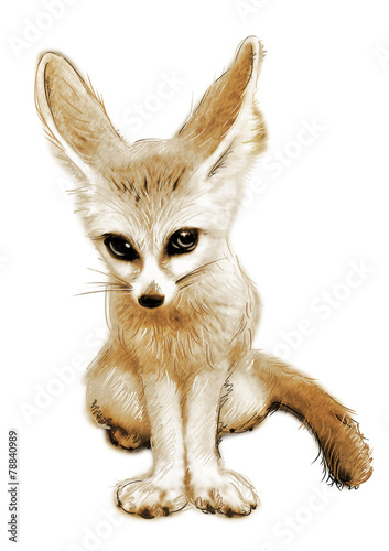 Fototapeta Naklejka Na Ścianę i Meble -  Sketch fox in simple background