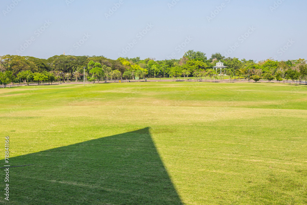 The lawn with shadow