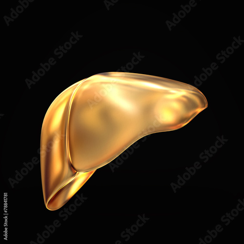 Golden liver on black  background.