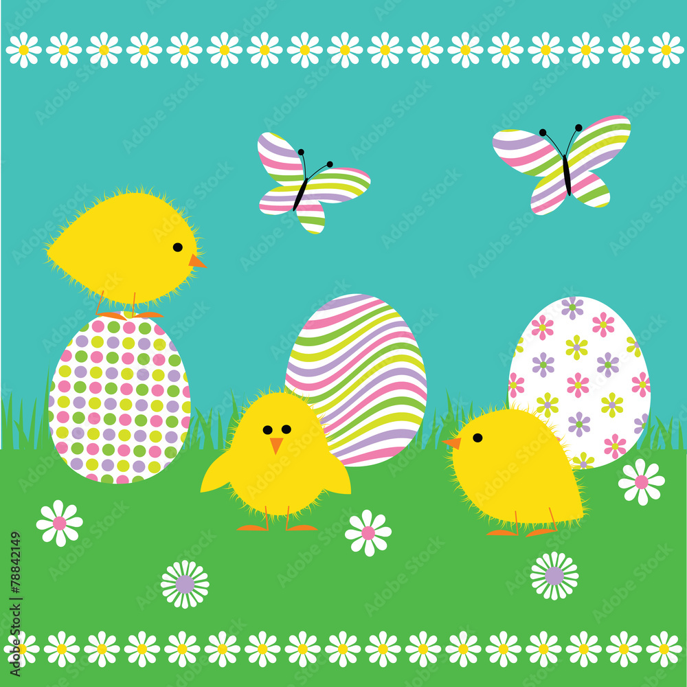 chicks and eggs chicks and eggs