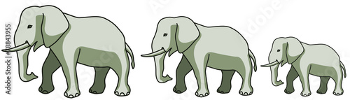Elephants