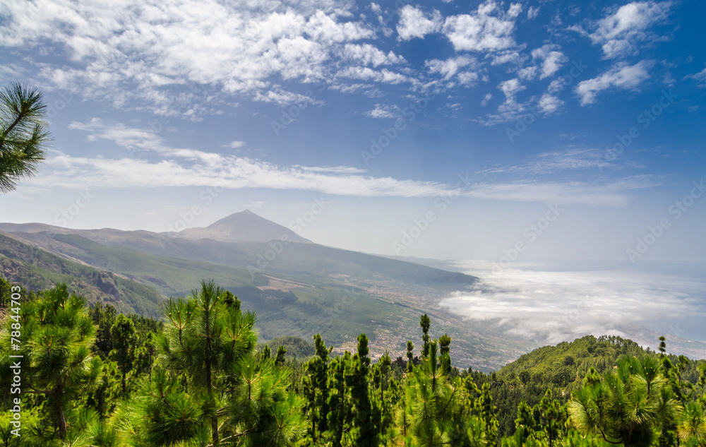 Fototapeta premium Volcano Teide in the mist (Tenerife).