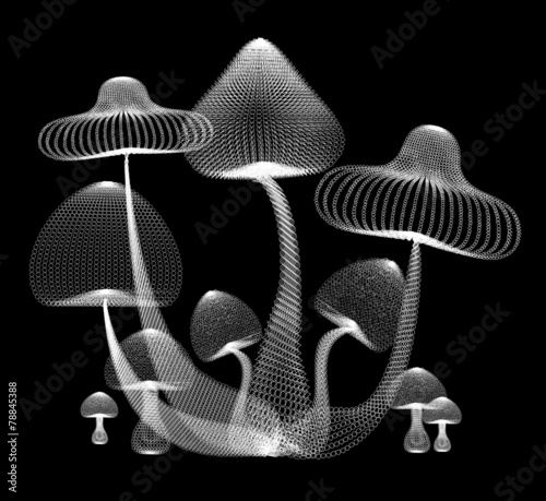 Abstract design of white mushroom in black isolated background,