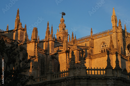 Pinnacles at the cathedral of Seville.