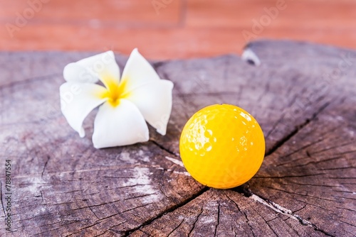 Still life Yellow Miniature Golf Ball On White Background.