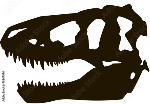 Tyrannosaur skull