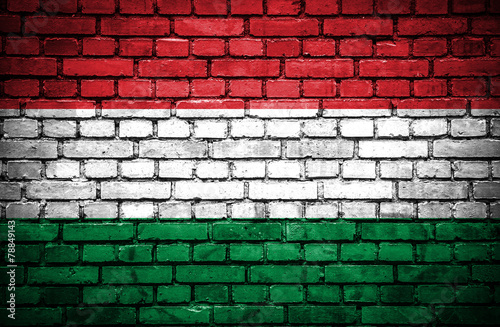 Wallpaper Mural Brick wall with painted flag of Hungary