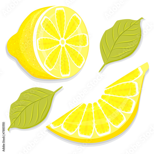 Slice and half of lemon vector