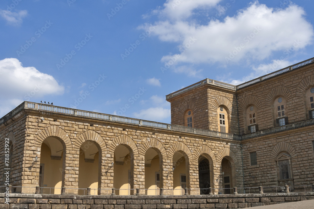 Pitti palace in Florence