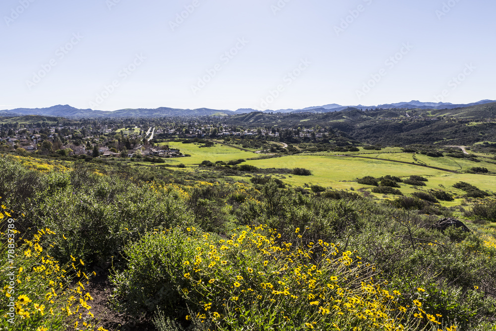 Fototapeta premium Southern California Suburban Spring