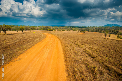 Road of Savannah Field