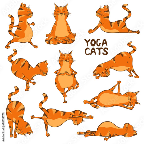 Funny red cat doing yoga position