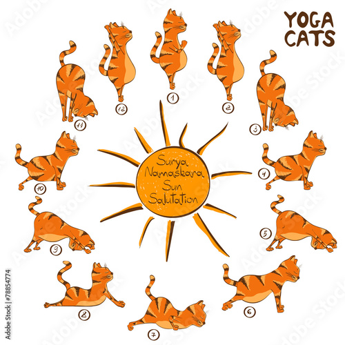 Cat doing yoga position of Surya Namaskara