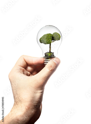 Hand holds the incandescent lamp with wood inside