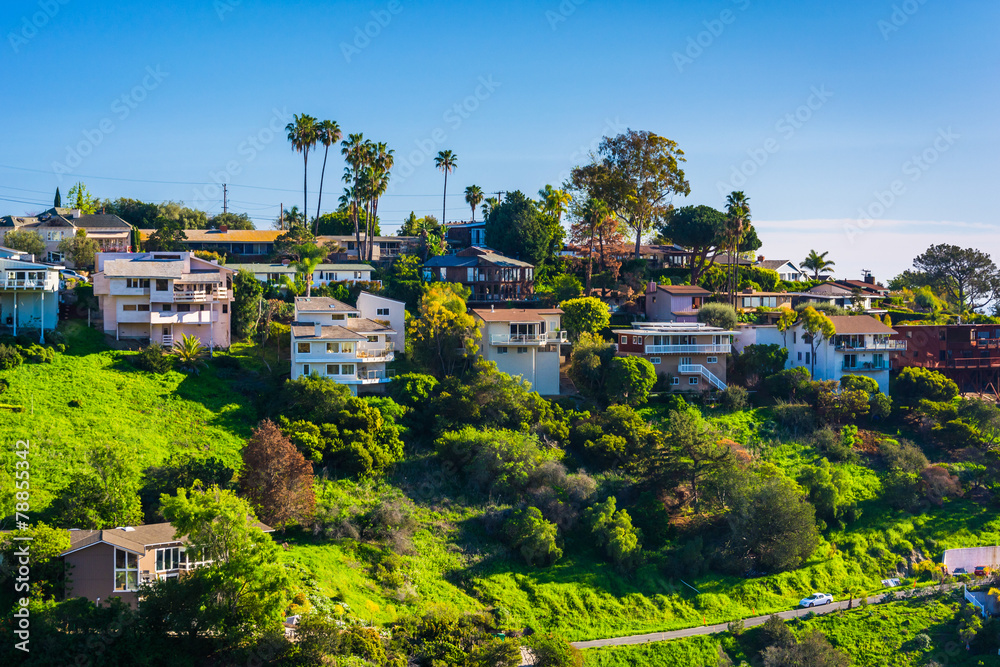 View of houses of a hillside in Laguna Beach, California.