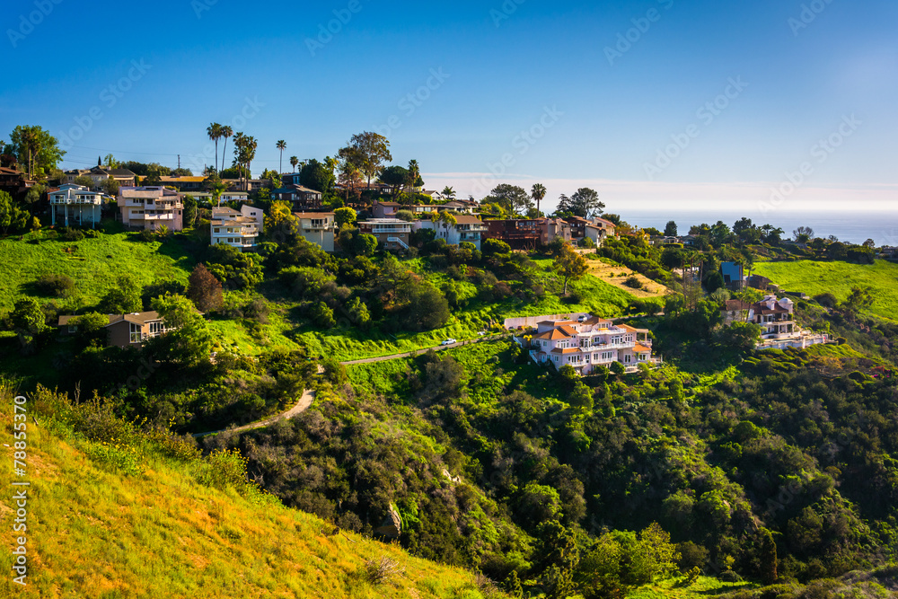View of houses of a hillside in Laguna Beach, California. View of houses of a hillside in Laguna Beach, California.