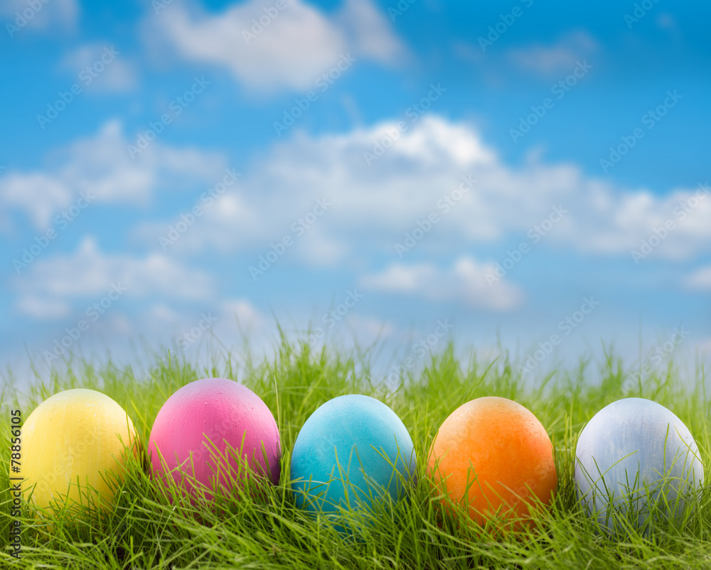 Row of easter eggs in grass