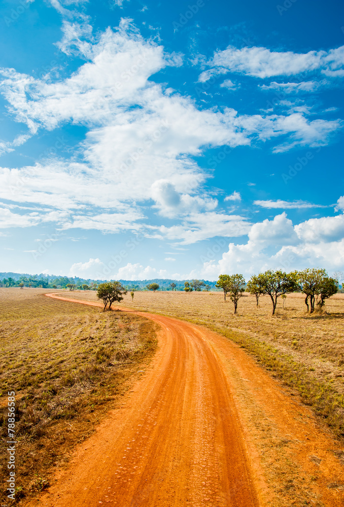 Obraz premium Road of Savannah Field