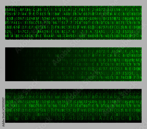 Hexadecimal Web Banners