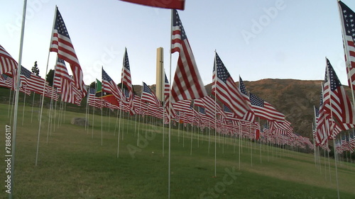Time Lapse of American Flags  photo