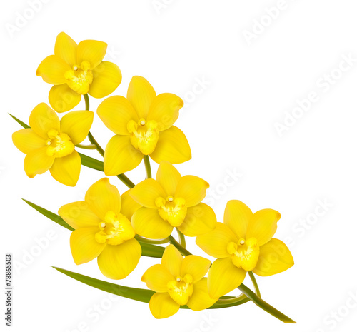 Fototapeta Naklejka Na Ścianę i Meble -  Holiday yellow flowers background. Vector.
