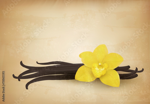 Fototapeta Naklejka Na Ścianę i Meble -  Vanilla retro background. Vector.