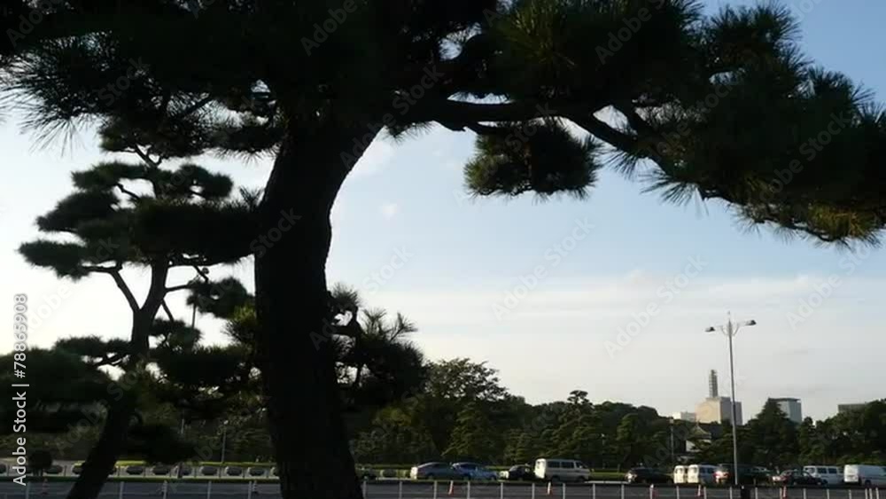Pan of Office Buildings Surrounded by Trees in Central Tokyo Pan of Office Buildings Surrounded by Trees in Central Tokyo