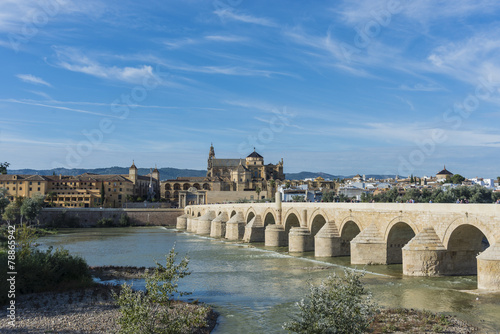 Roman bridge in Cordoba  Andalusia  southern Spain.