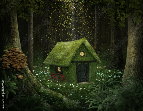 Fantasy house of moss