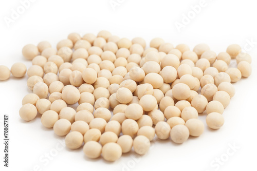 Japanese soybeans also known as Daizu
