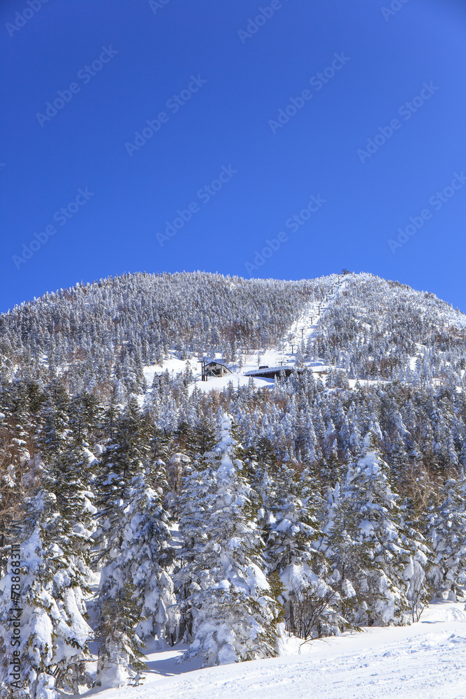 Mt.Yokote Ski resort in Shiga Highlands Mt.Yokote Ski resort in Shiga Highlands