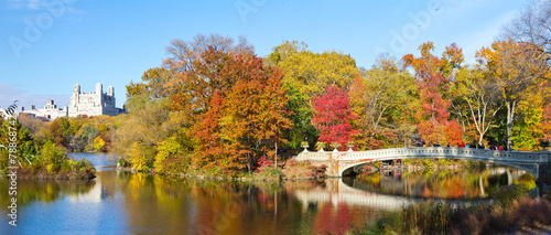 Leinwand Poster New York City - Central Park Panoramic Landscape
