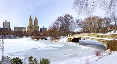 New York City - Central Park in Winter