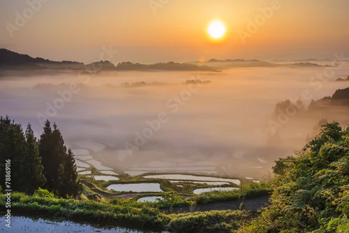 Obraz Morze chmur i ryżowe tarasy, Hoshitouge, Niigata