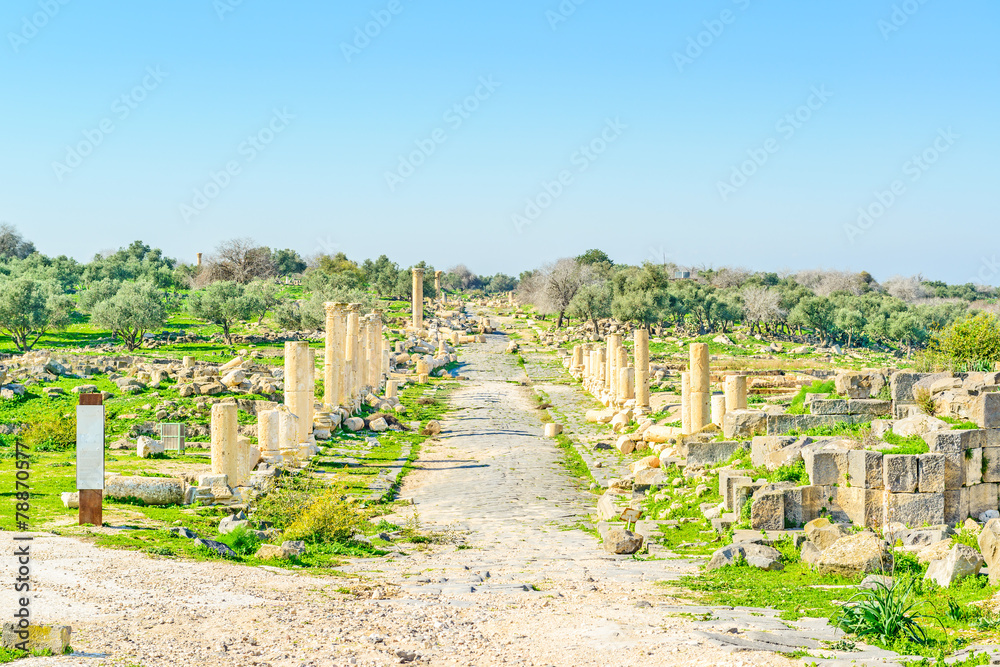 Roman ruins at Umm Qais in northern Jordan