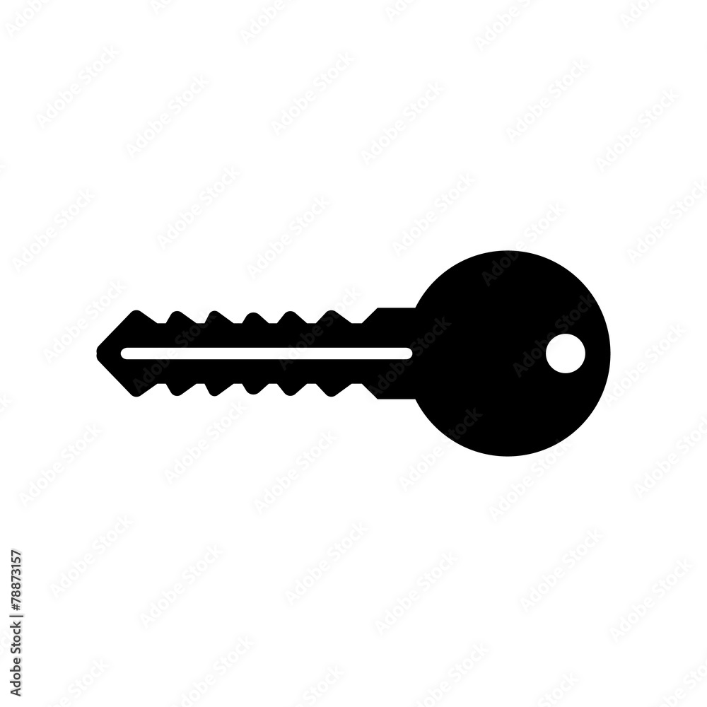 The key icon. Key symbol. Flat. The key icon. Key symbol. Flat.