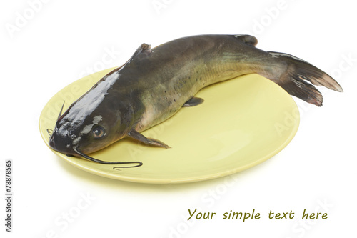 Channel catfish fish products on a plate